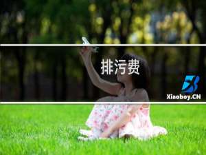 排污费