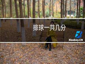 排球一共几分