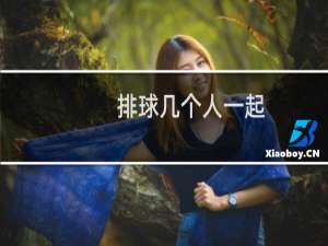 排球几个人一起