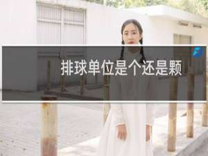 排球单位是个还是颗