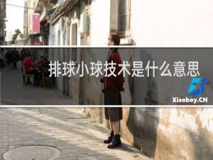 排球小球技术是什么意思