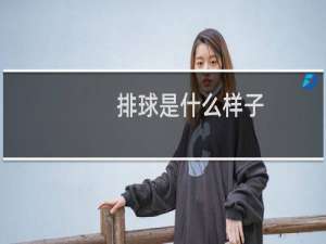 排球是什么样子