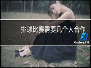 排球比赛需要几个人合作