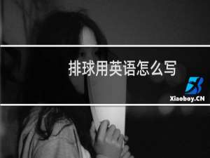 排球用英语怎么写