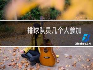 排球队员几个人参加