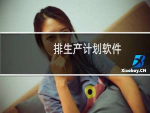 排生产计划软件