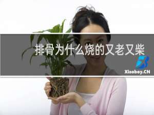 排骨为什么烧的又老又柴