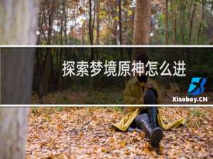 探索梦境原神怎么进