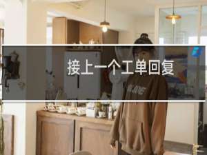 接上一个工单回复，继处理