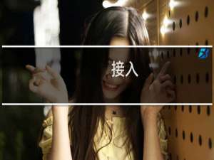 接入