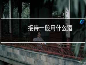 接待一般用什么酒