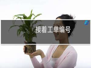 接着工单编号：帮我处理-其他问题