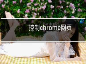 控制chrome网页