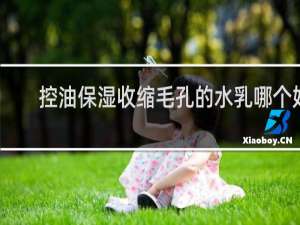 控油保湿收缩毛孔的水乳哪个好