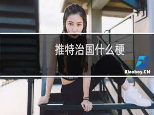 推特治国什么梗