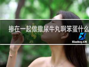 掺在一起做撒尿牛丸啊笨蛋什么梗