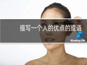 描写一个人的优点的成语