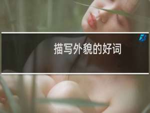 描写外貌的好词