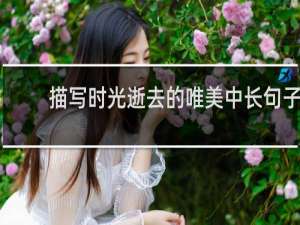 描写时光逝去的唯美中长句子
