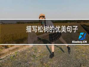 描写松树的优美句子 不畏风刀霜剑就是它