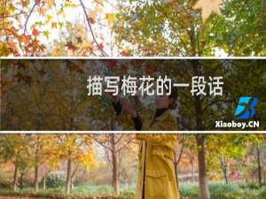 描写梅花的一段话