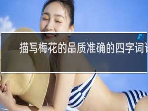 描写梅花的品质准确的四字词语