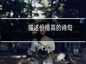 描述价格高的诗句