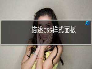 描述css样式面板