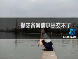 提交备案信息提交不了-备案平台