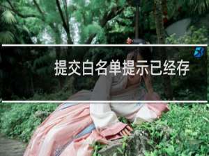 提交白名单提示已经存在-云服务器问题