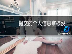 提交的个人信息审核没通过，是什么原因