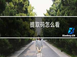 提取码怎么看（提取码）
