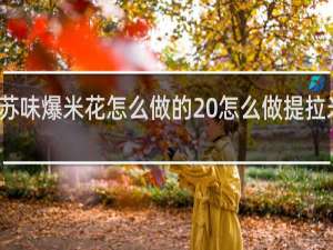 提拉米苏味爆米花怎么做的 怎么做提拉米苏味爆米花