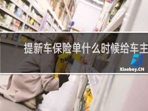 提新车保险单什么时候给车主