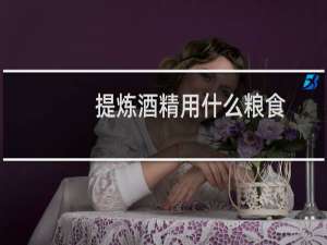 提炼酒精用什么粮食