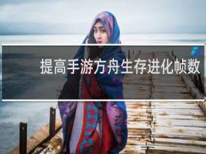 提高手游方舟生存进化帧数