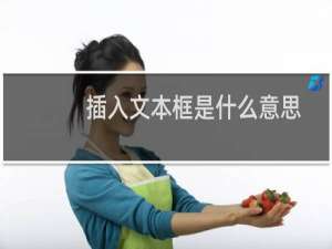 插入文本框是什么意思