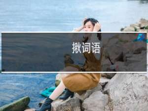 揪词语