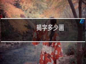 揭字多少画
