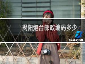 揭阳炮台邮政编码多少