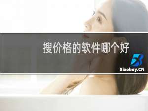 搜价格的软件哪个好