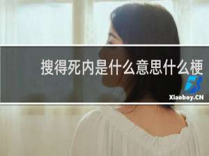 搜得死内是什么意思什么梗