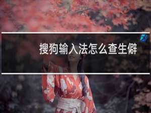 搜狗输入法怎么查生僻字