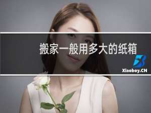 搬家一般用多大的纸箱