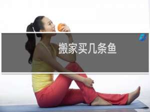 搬家买几条鱼