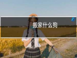搬家什么狗