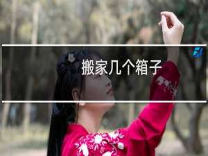 搬家几个箱子