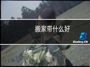 搬家带什么好
