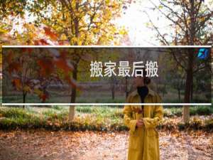 搬家最后搬