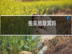 搬家用簸箕吗